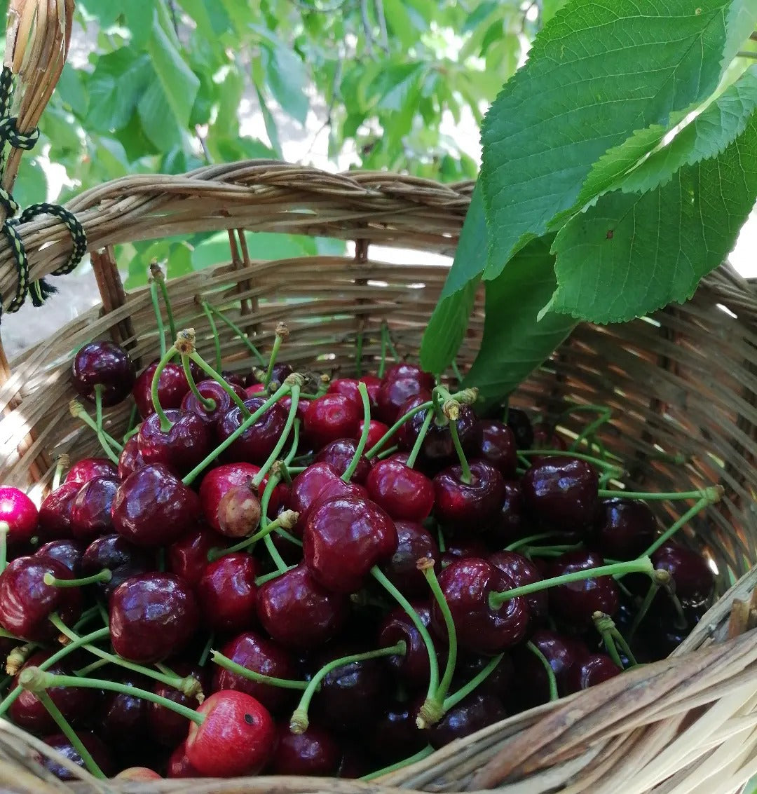 Confettura Extra di Ciliege Cunzata Sicilia