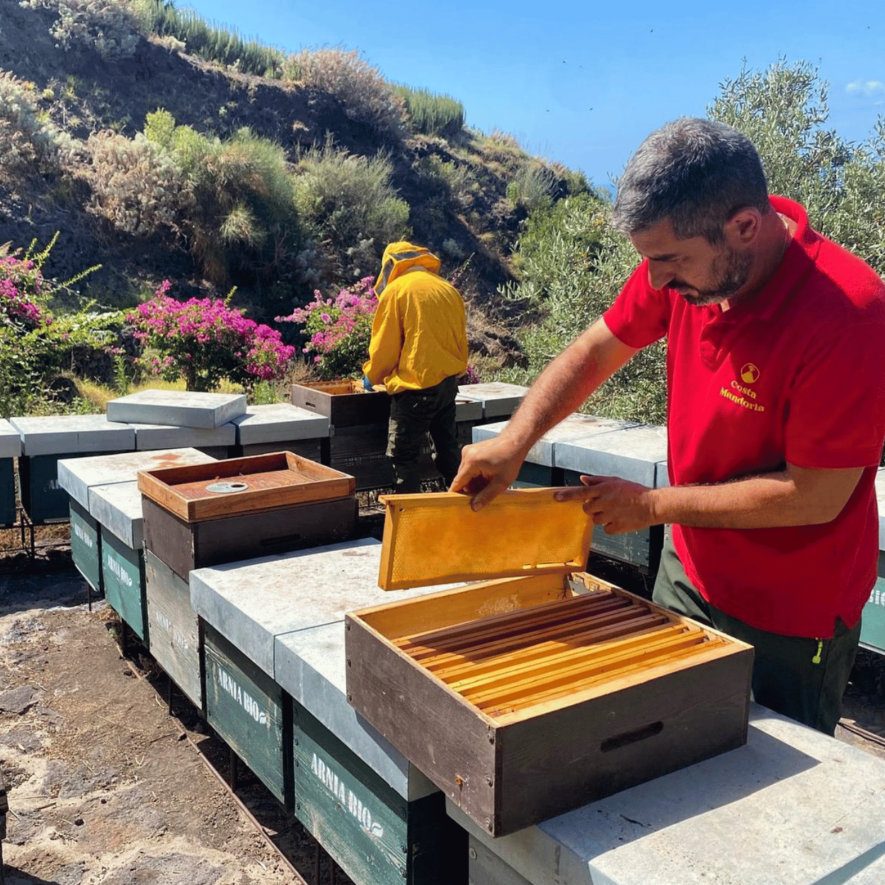 Miele di Cappero Cunzata