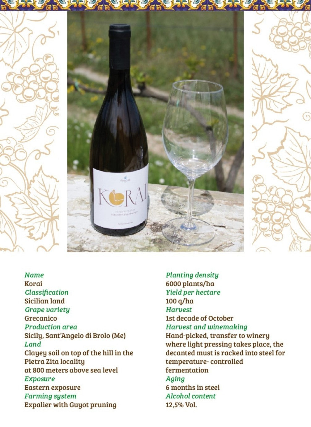 Vino Korai Cunzata Sicilia