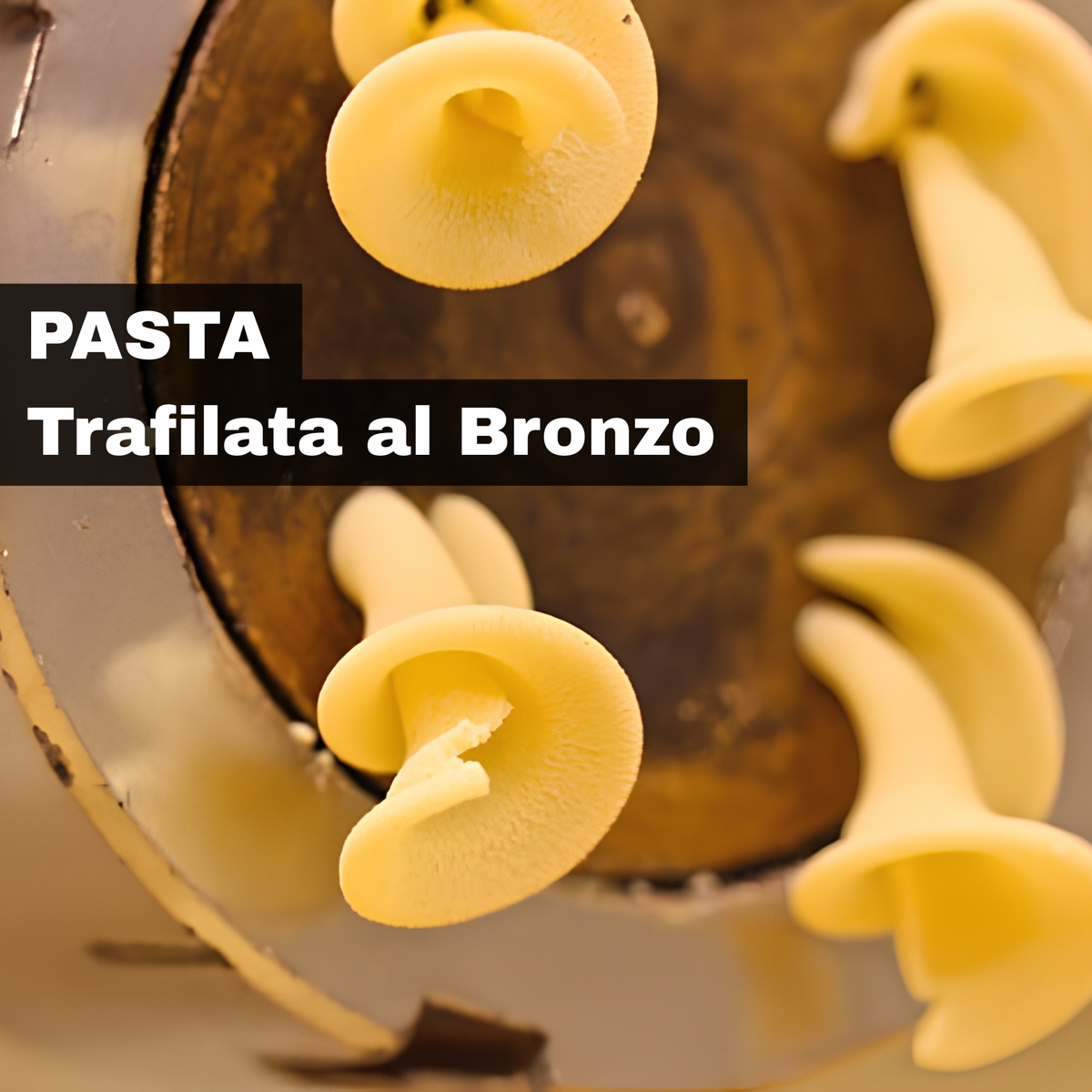 Box Pasta alla Norma Azienda Agricola Isgrò