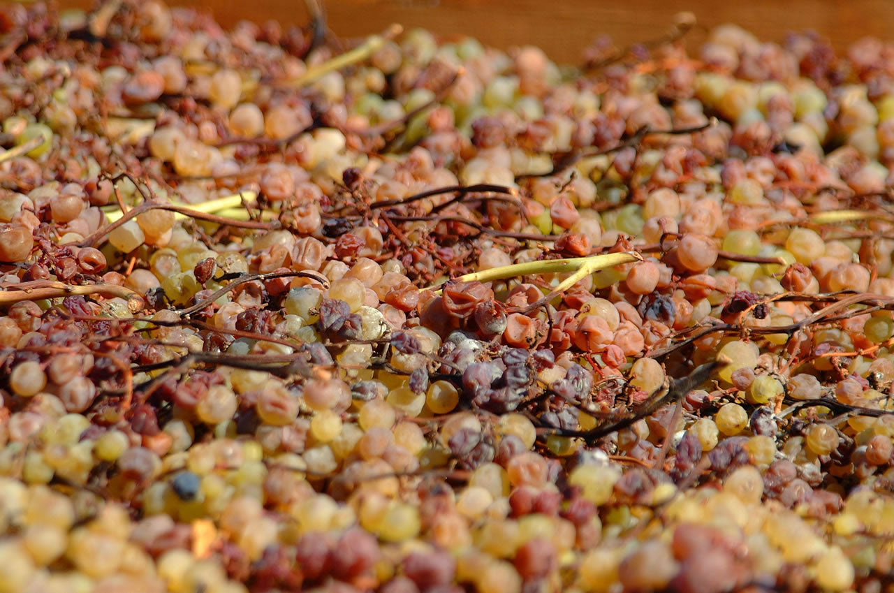 Malvasia delle Lipari D.O.C. Passito-18 cl Cunzata
