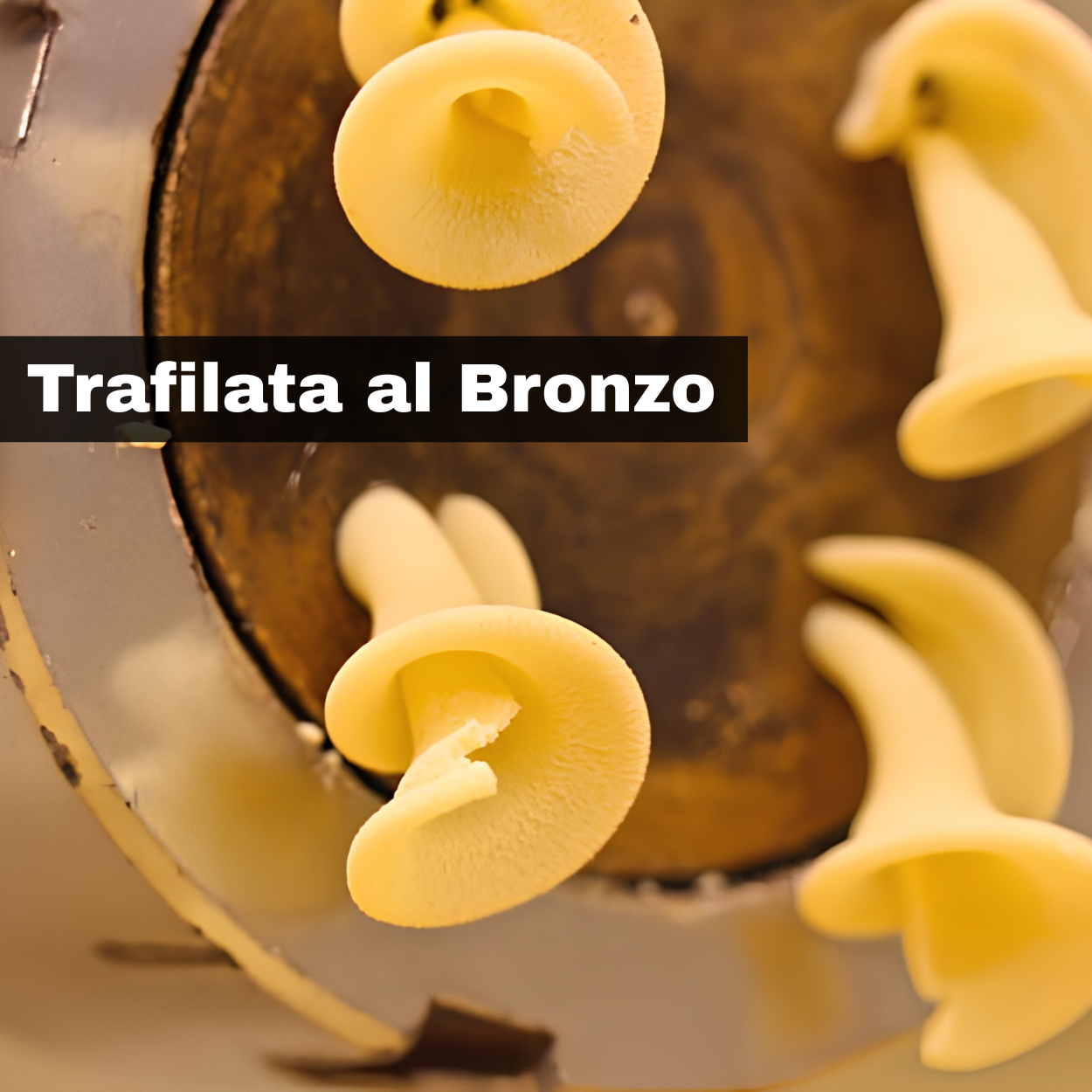 Rigatoni Pastificio Di Bella