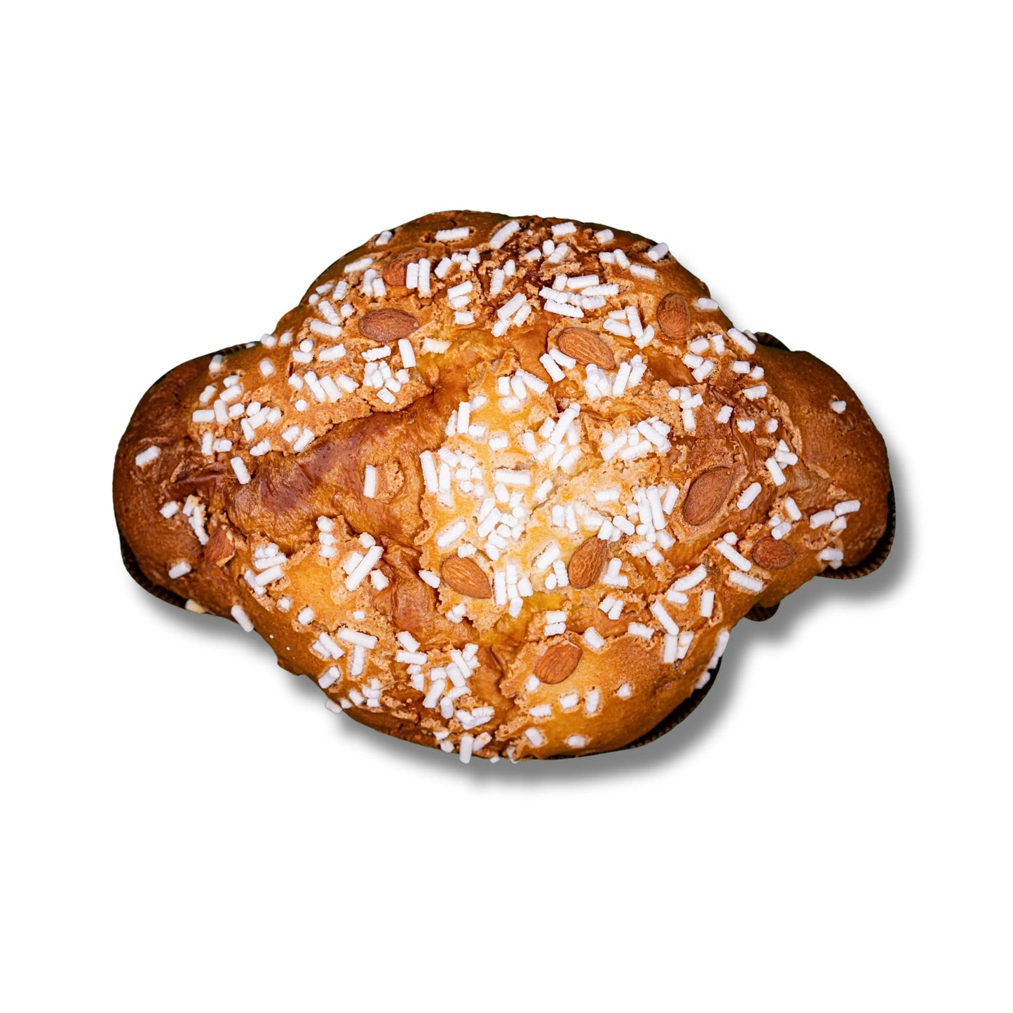 Colomba ZAGARA - Frangipane Cunzata Sicilia