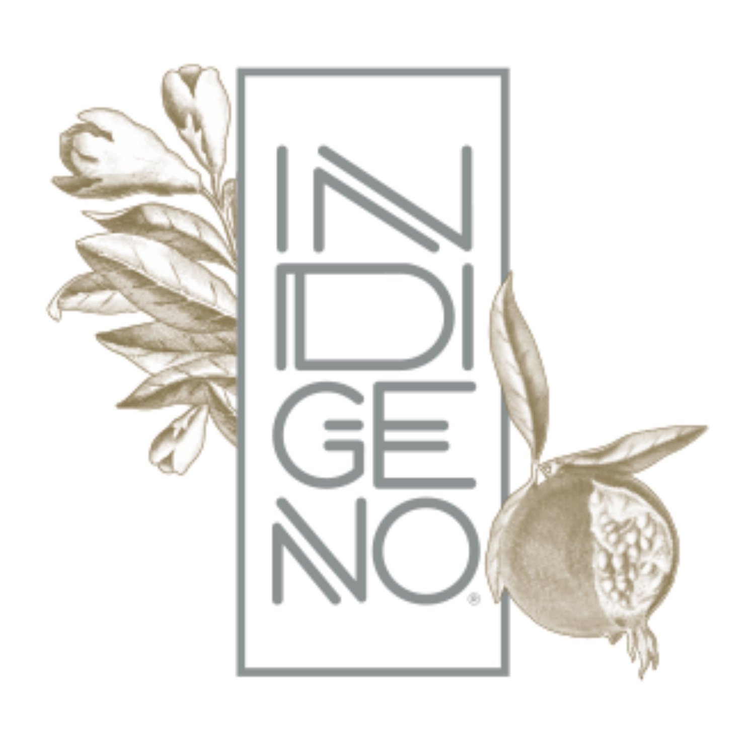 Indigeno Cunzata