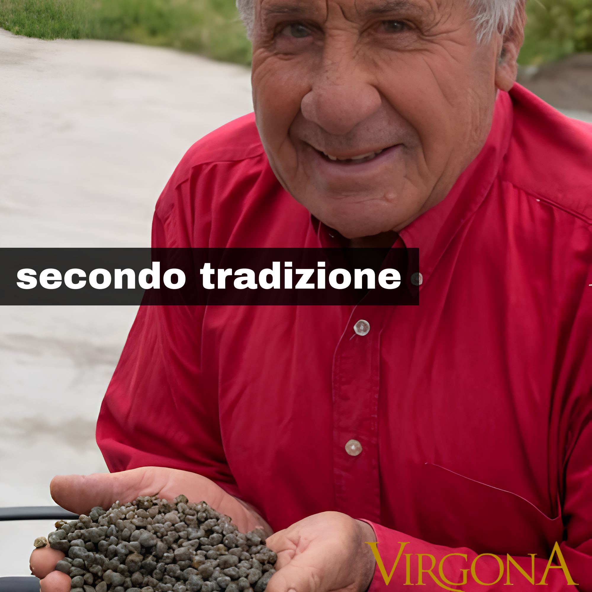 Capperi di Salina Virgona -Medi Azienda Agricola Virgona