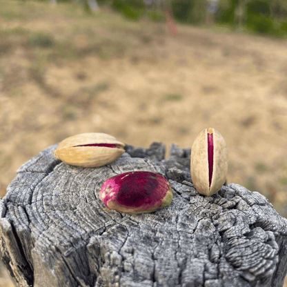 Crema di Pistacchio Cunzata