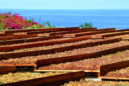 Malvasia delle Lipari D.O.C. Passito Cunzata