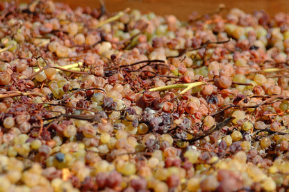 Malvasia delle Lipari D.O.C. Passito Cunzata